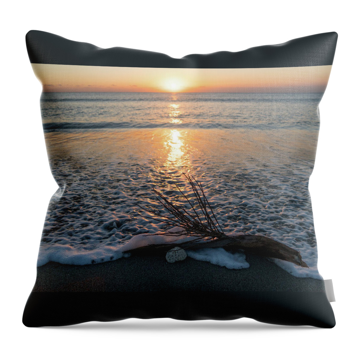 Florida Throw Pillow featuring the photograph Palm Frond Coral Sunrise Wave Delray Beach Florida by Lawrence S Richardson Jr