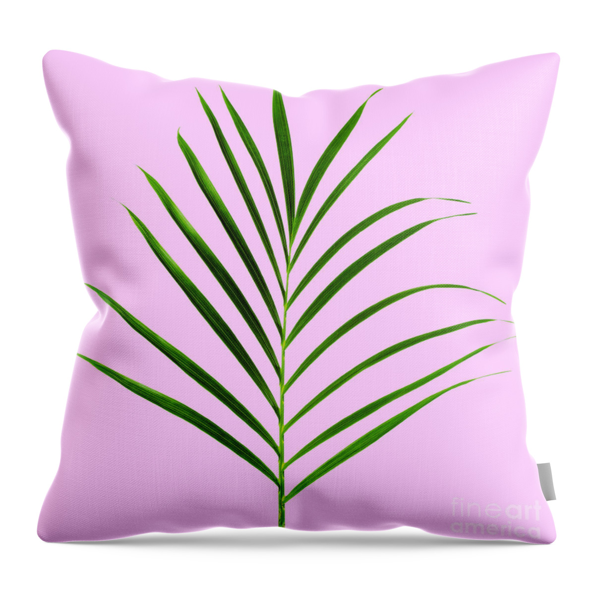 Palm Throw Pillow featuring the photograph Palm leaf by Tony Cordoza