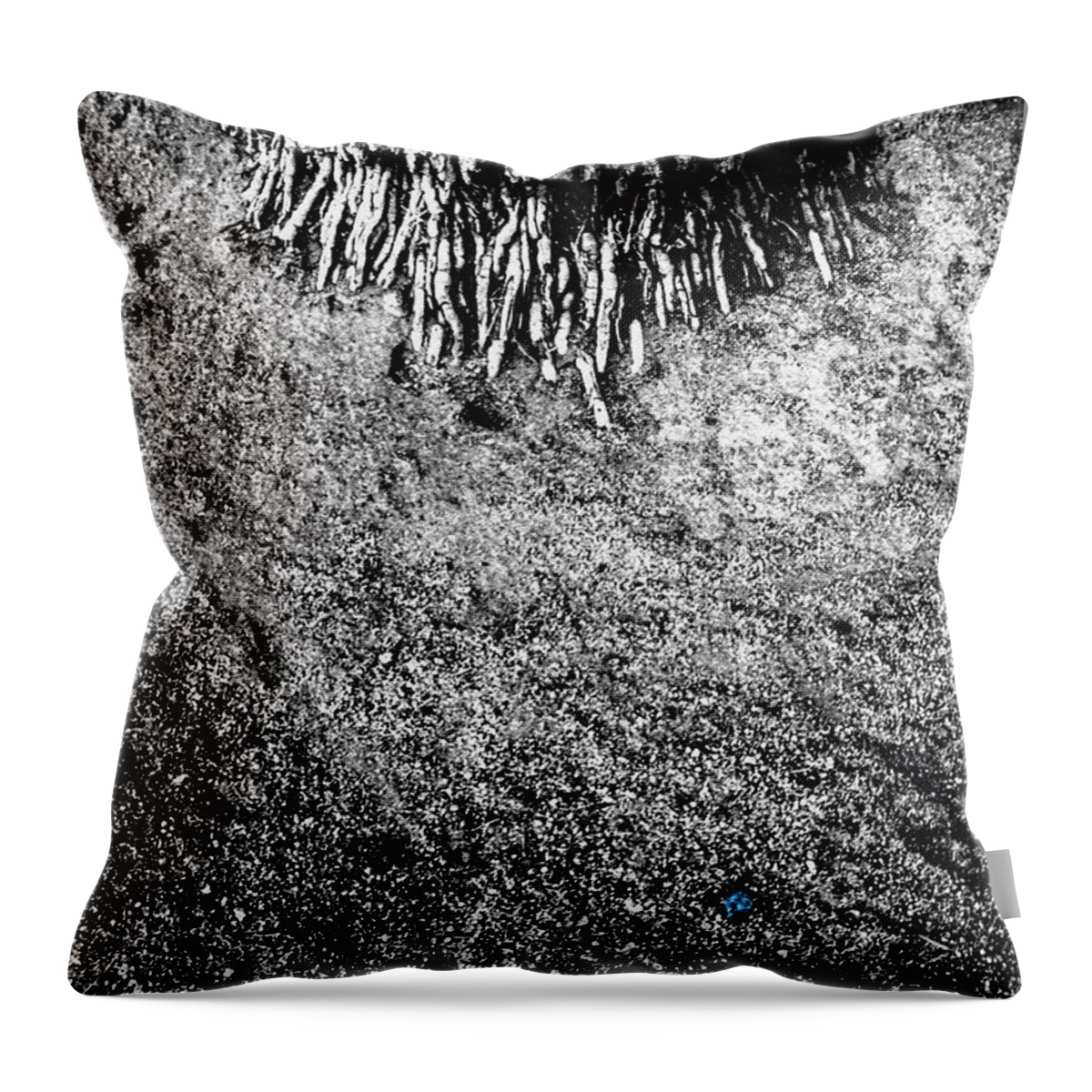 palm Springs Throw Pillow featuring the photograph Palm Root Flare with Blue Detritus by Stan Magnan