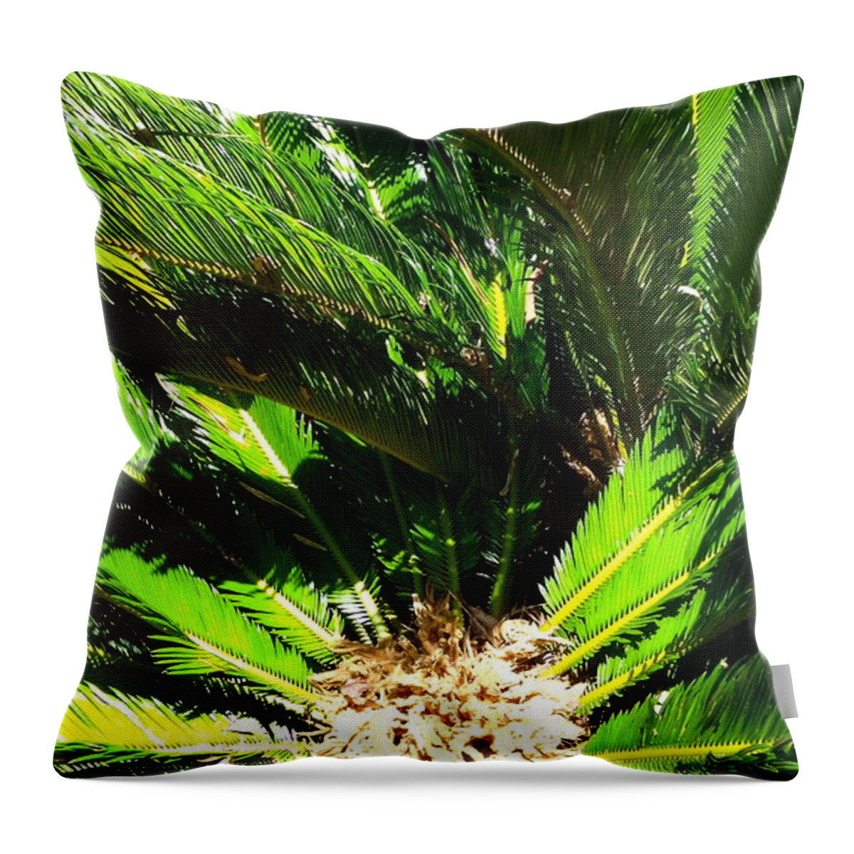 Palm Tree Throw Pillow featuring the photograph Palm tree by Anamarija Marinovic