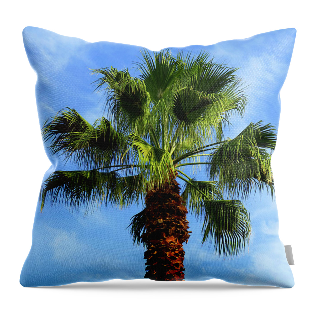 Palm Tree Throw Pillow featuring the photograph Palm Tree, Blue Sky, Wispy Clouds by Ram Vasudev