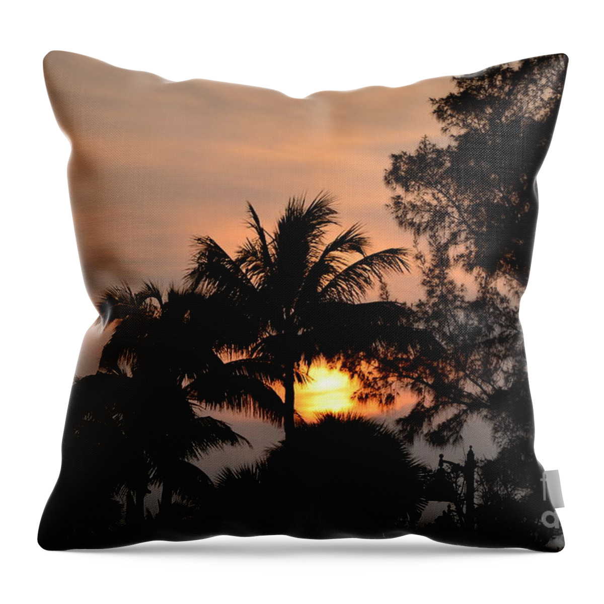Brown Throw Pillow featuring the photograph Palm Tree Silhouette by Bob Sample