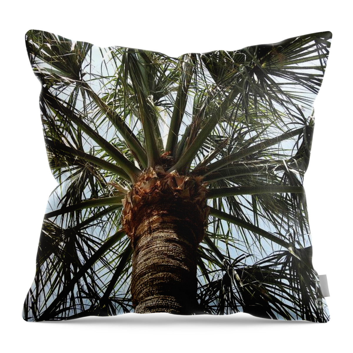 Palm Tree Throw Pillow featuring the photograph Palm Tree Symmetry by Jan Gelders