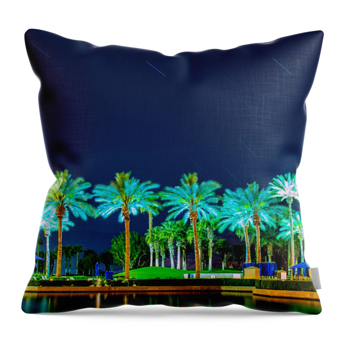 Palm Tree Throw Pillow featuring the photograph palm Trees by Hyuntae Kim