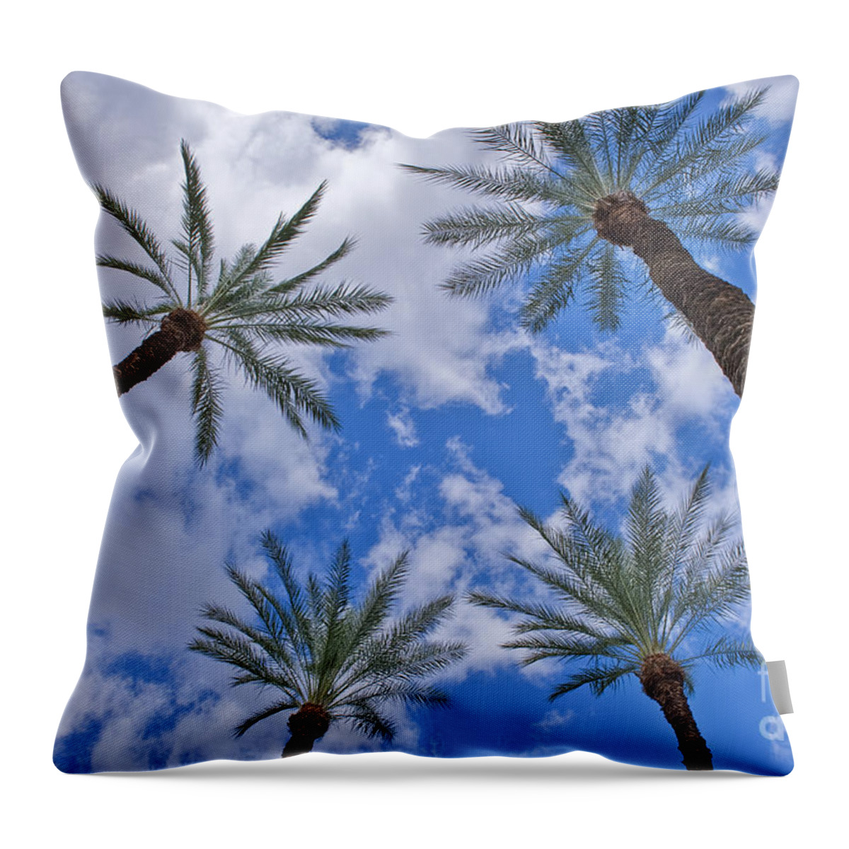 Palm Desert Throw Pillow featuring the photograph Palm Trees Looking Up 7 by David Zanzinger
