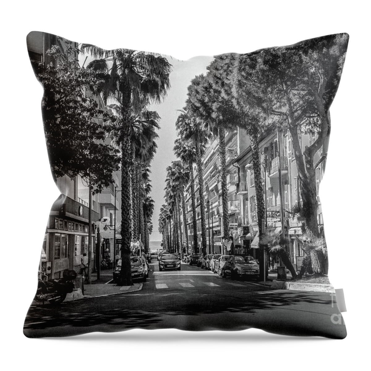 Black And White Throw Pillow featuring the photograph Palm Trees On Street In Antibes, France, Blk Wht by Liesl Walsh