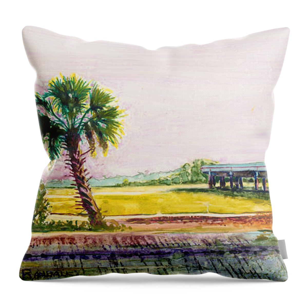 Flyover Throw Pillow featuring the painting Palmetto Flyover by David Randall