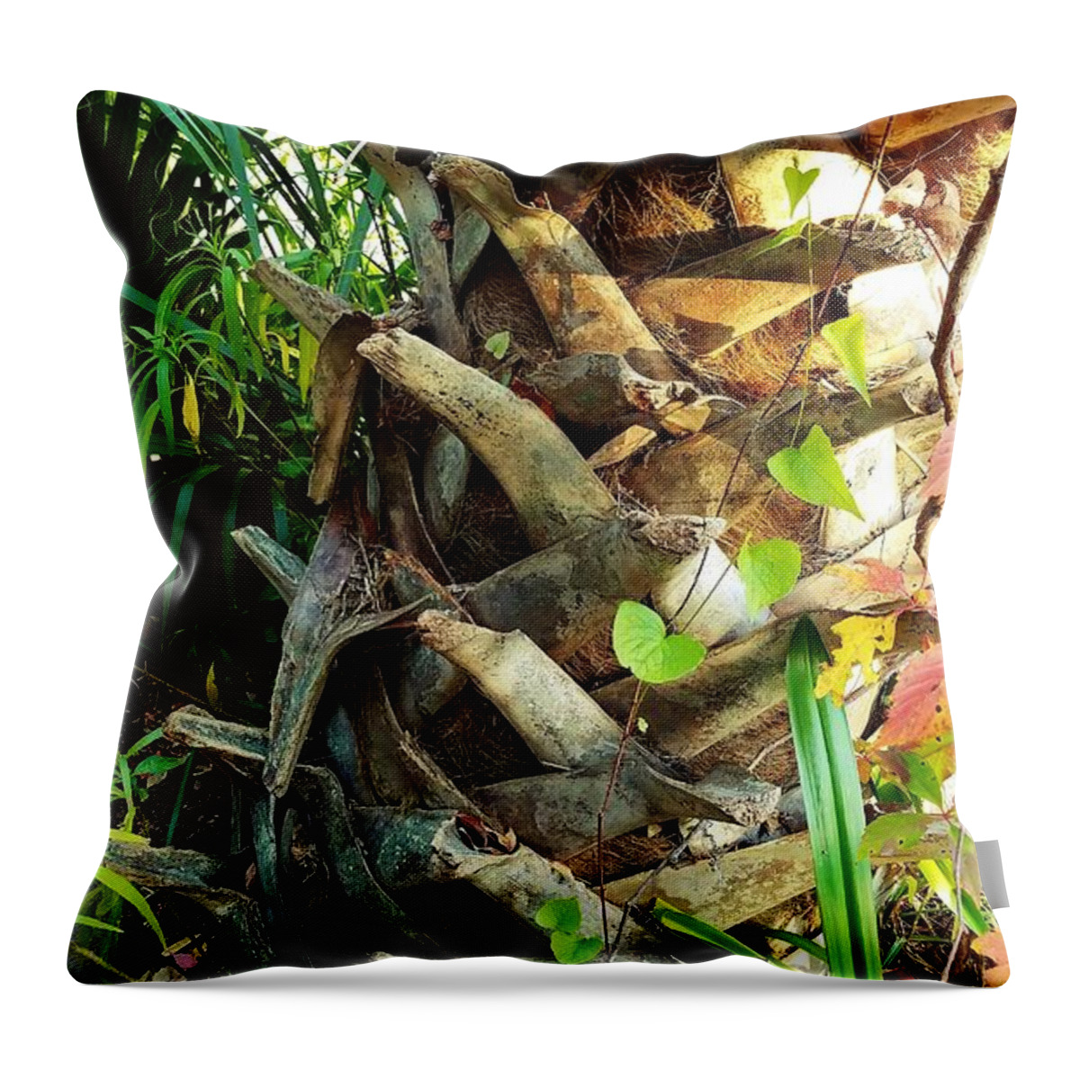 Palmetto Tree Throw Pillow featuring the photograph Palmetto Trunk by Amy Regenbogen