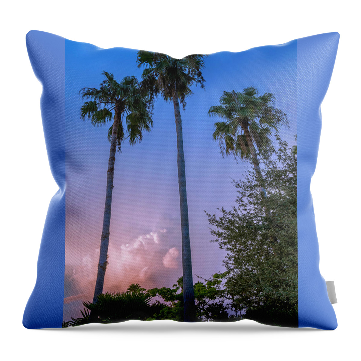 Beach Throw Pillow featuring the photograph Palms And Storms by Marvin Spates