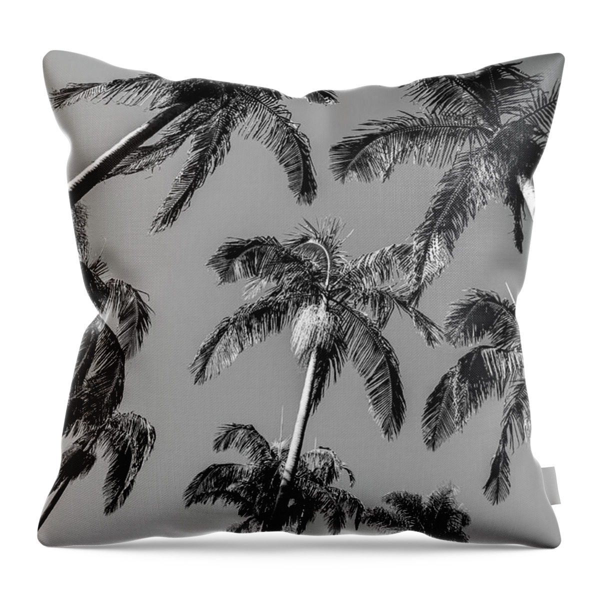 Palm Trees Throw Pillow featuring the photograph Palms Up I by Ryan Weddle