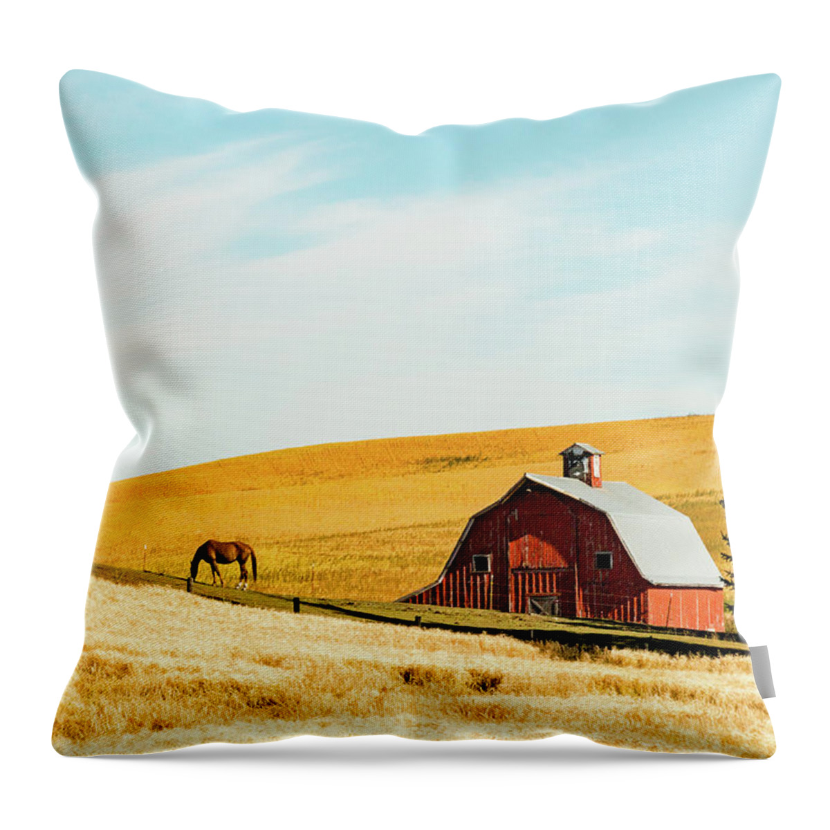 Landscapes Throw Pillow featuring the photograph Palouse 16 by Claude Dalley