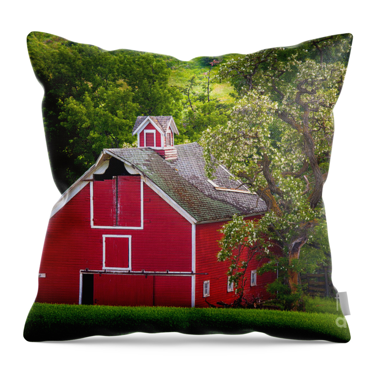 America Throw Pillow featuring the photograph Palouse Barn Number 9 by Inge Johnsson