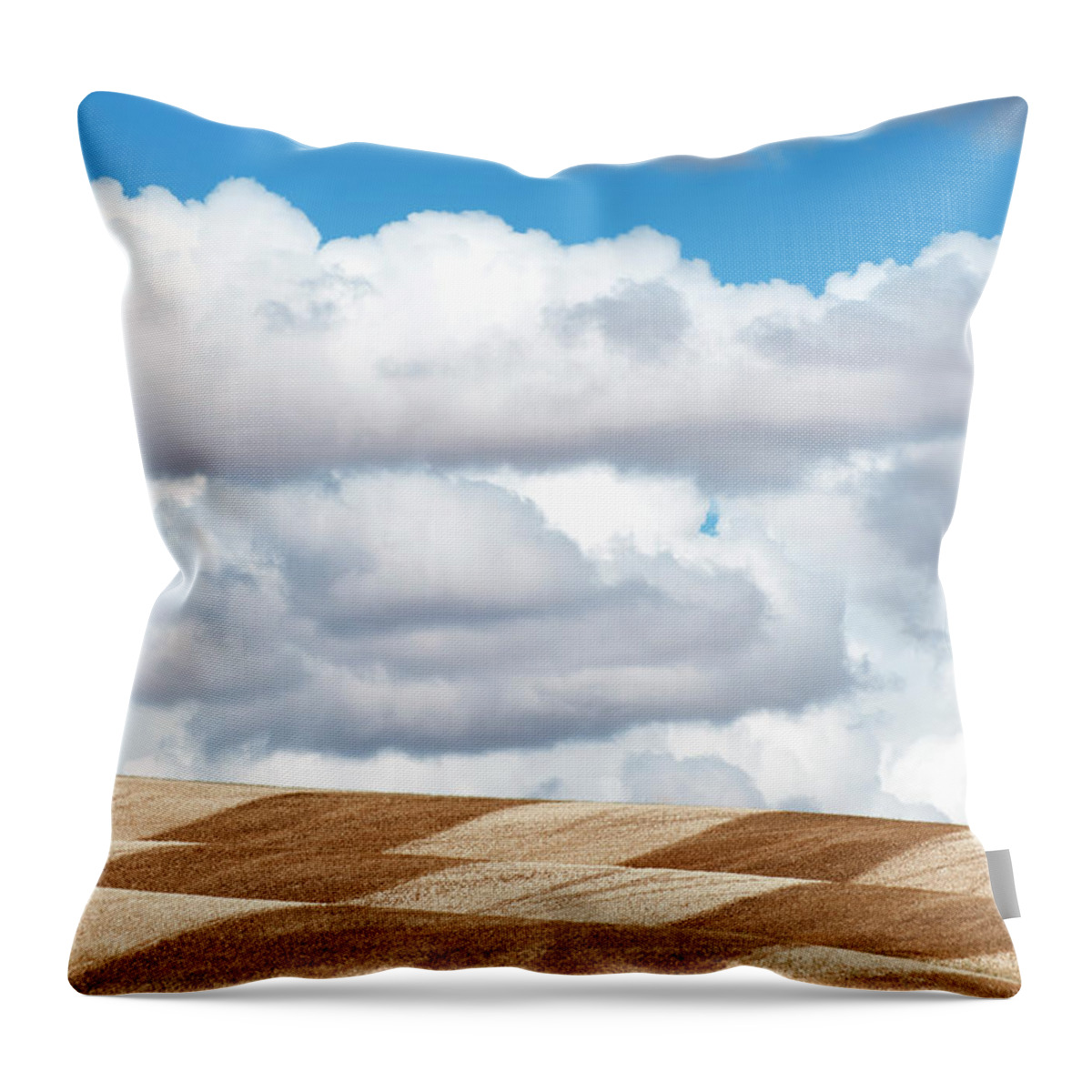 Outdoors Throw Pillow featuring the photograph Palouse Checkers by Doug Davidson