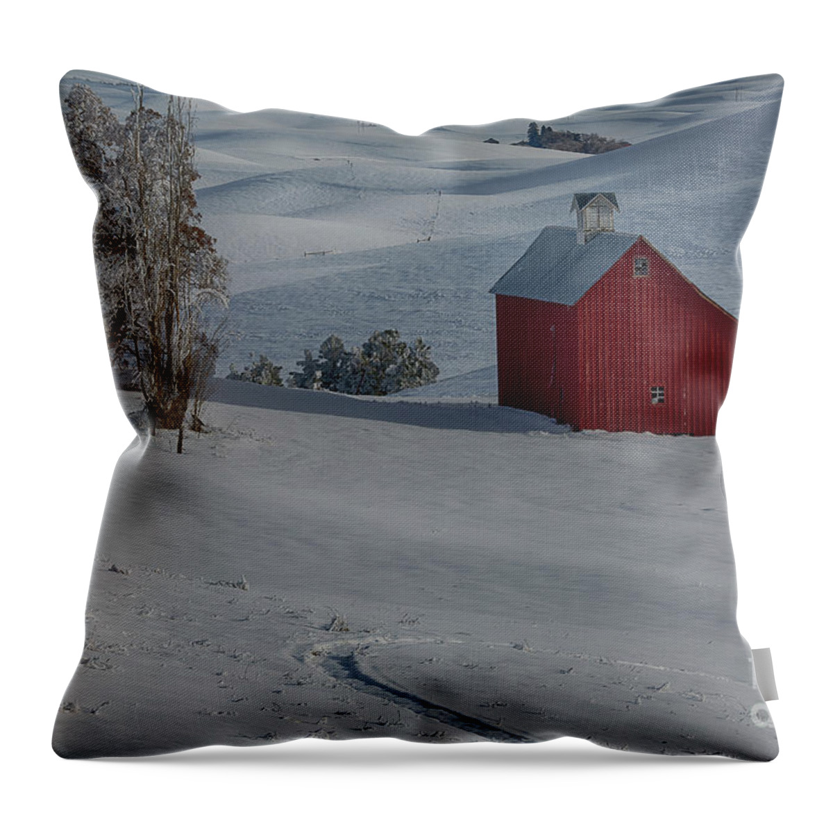 Idaho Throw Pillow featuring the photograph Palouse Saltbox Barn Winter by Idaho Scenic Images Linda Lantzy