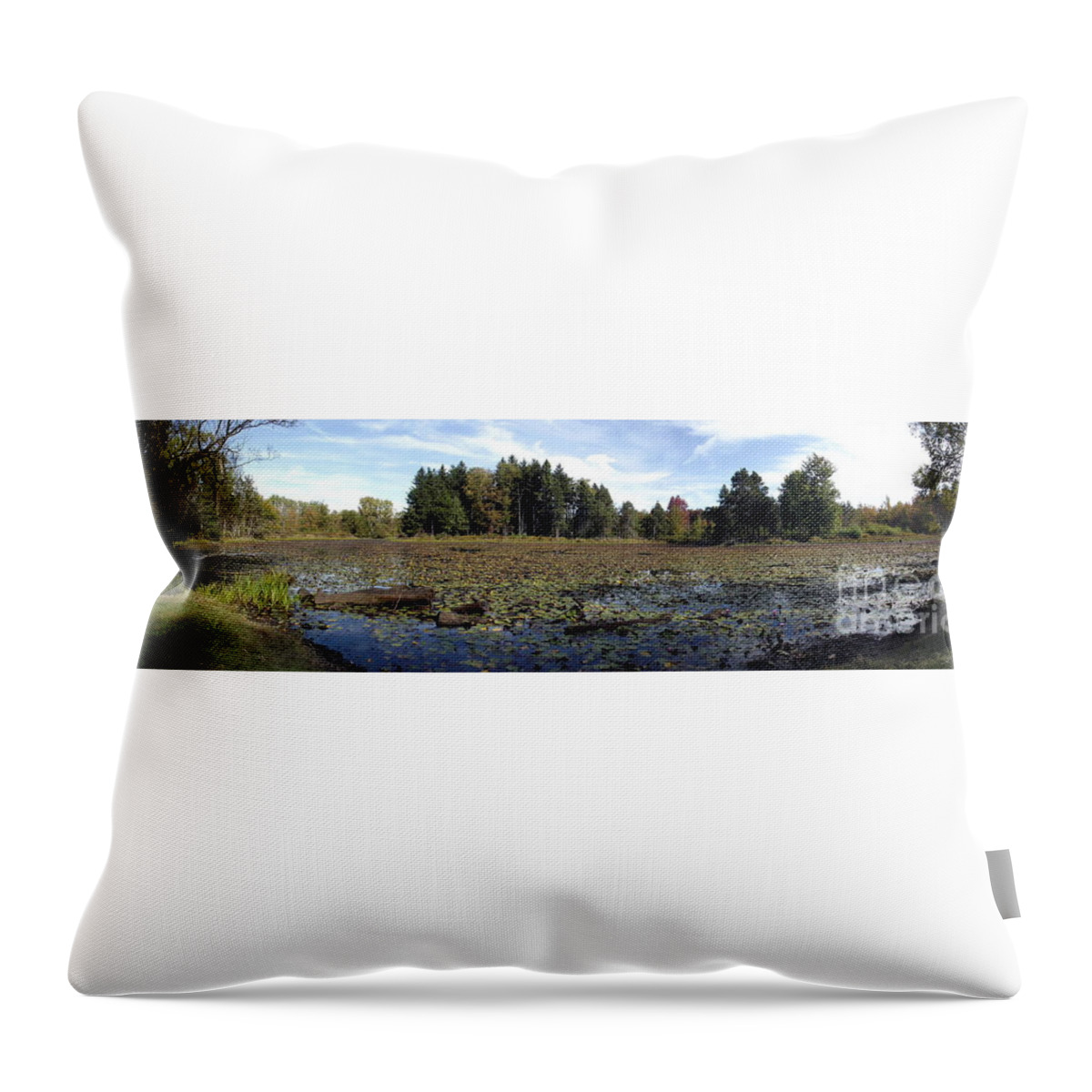 Panorama Throw Pillow featuring the photograph Panorama Of a Lake At Reinstein Woods Nature Preserve In New York State by Rose Santuci-Sofranko