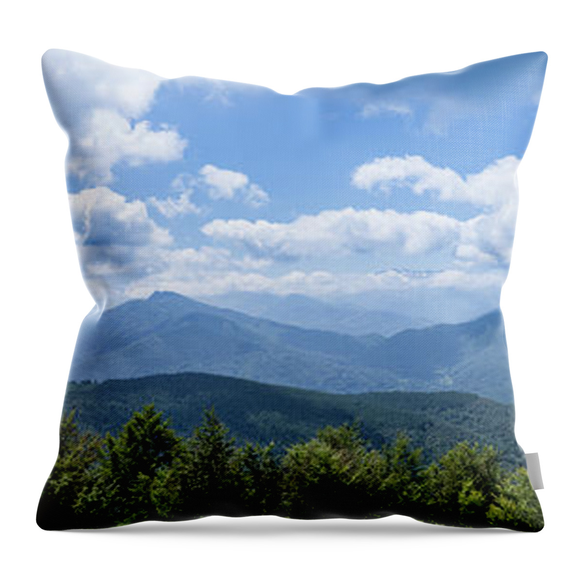 Biert Throw Pillow featuring the photograph Panorama of the foothills of the Pyrenees in Biert by Semmick Photo
