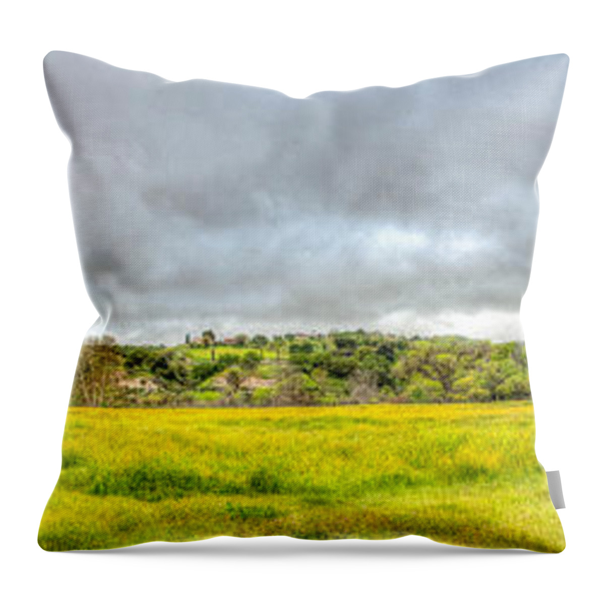 2016conniecooper-edwards Throw Pillow featuring the photograph Panorama View Spring Time by Connie Cooper-Edwards