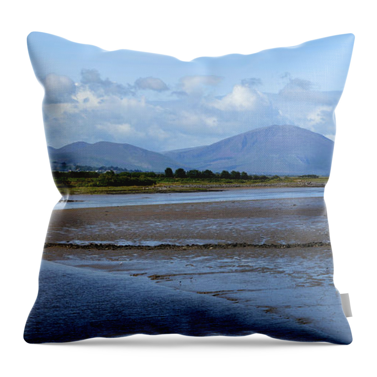 Blennerville Throw Pillow featuring the photograph Panoramic View Blennerville by Terence Davis