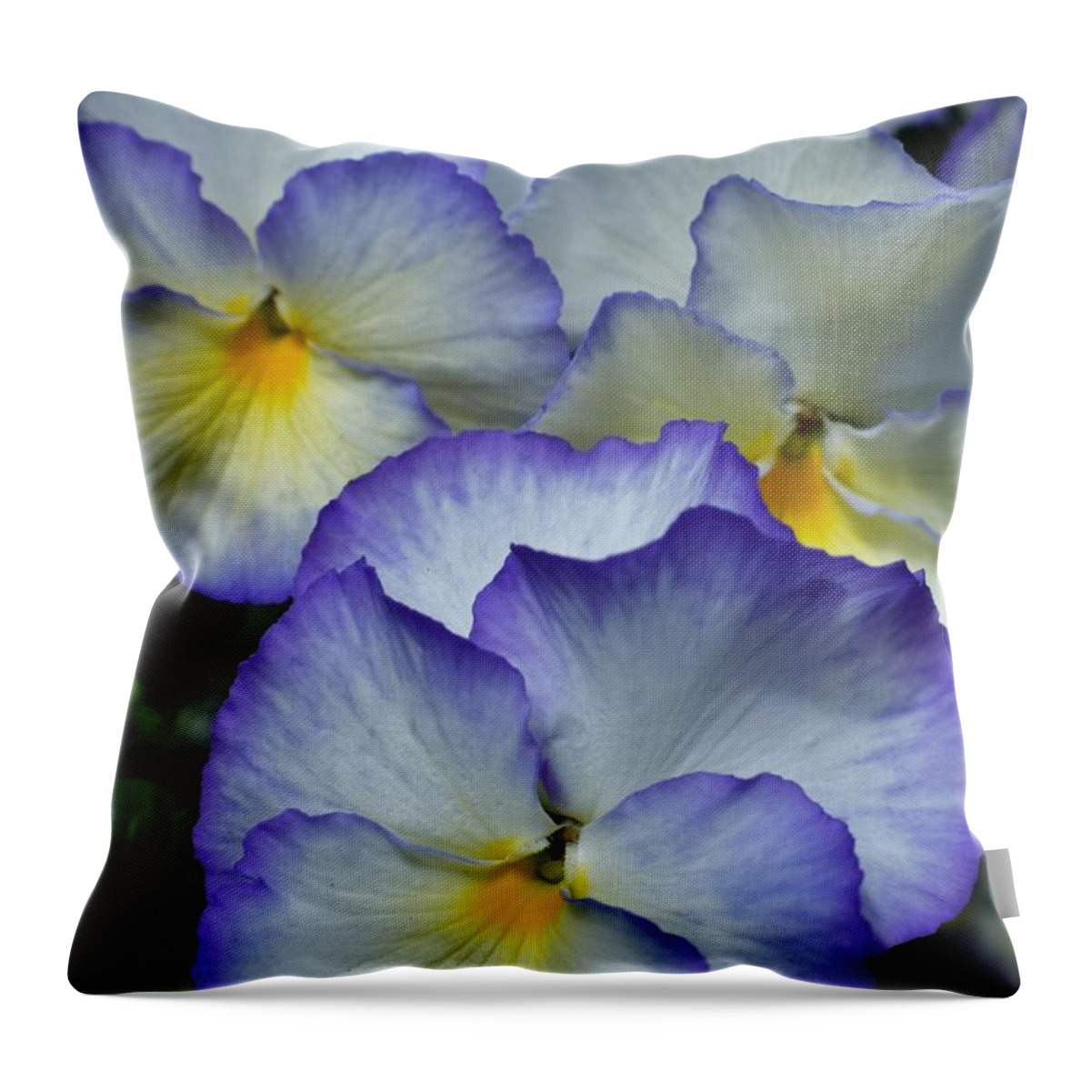 Pansies Throw Pillow featuring the photograph Pansies by Jimmy Chuck Smith