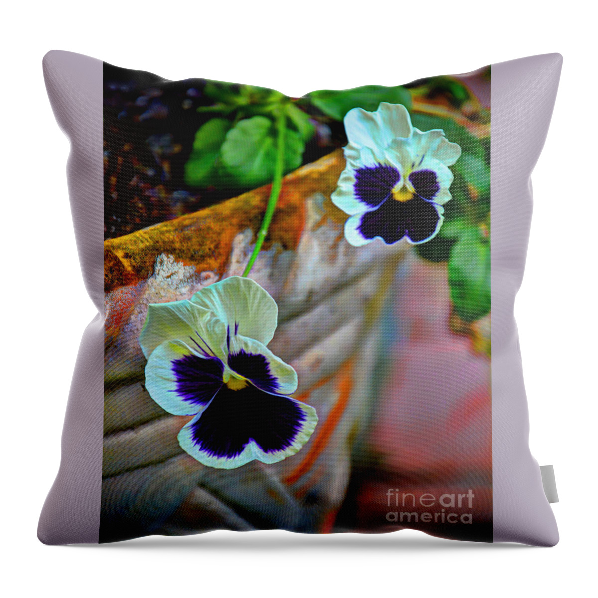 Pansies Throw Pillow featuring the photograph Pansies by Savannah Gibbs