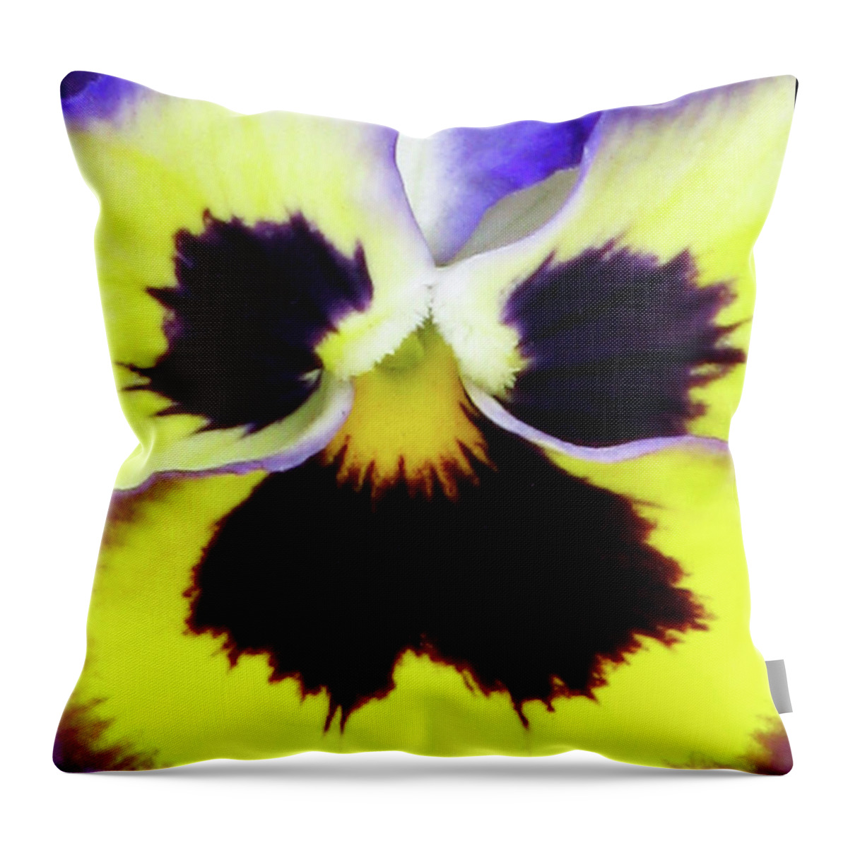 Pansy Throw Pillow featuring the photograph Pansy 09 - Thoughts of You by Pamela Critchlow