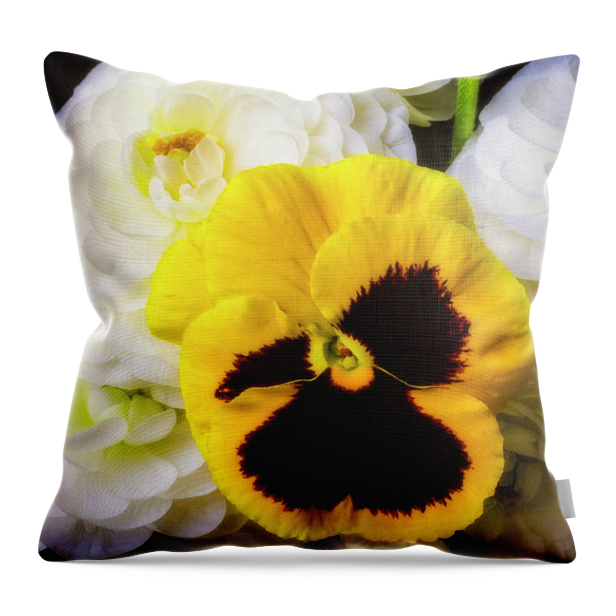 White Ranunculus Throw Pillow featuring the photograph Pansy And Ranunculus by Garry Gay