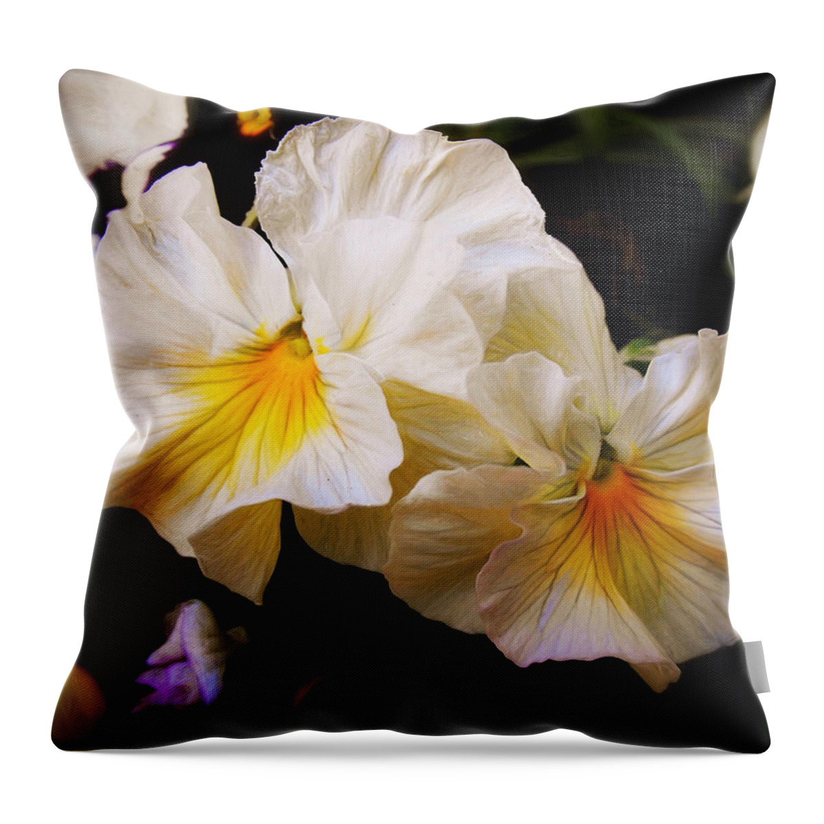 Pansy's Throw Pillow featuring the photograph Pansy's laGrand by Mary Clough