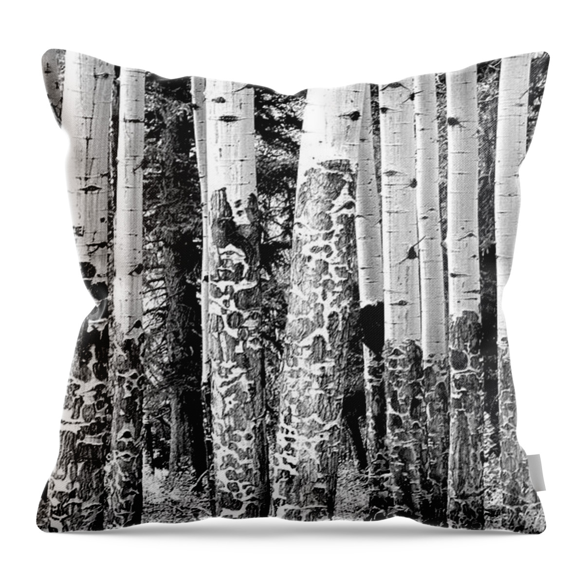 Landscape Throw Pillow featuring the photograph Paper Birch by Julie Lueders 