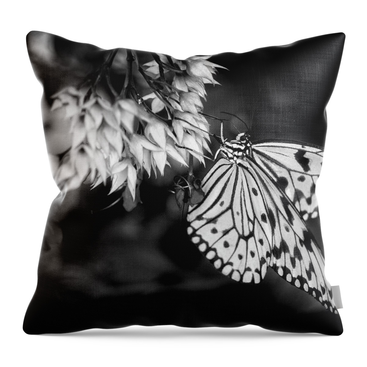 Butterfly Throw Pillow featuring the photograph Paper Kite In Black and White by Greg and Chrystal Mimbs