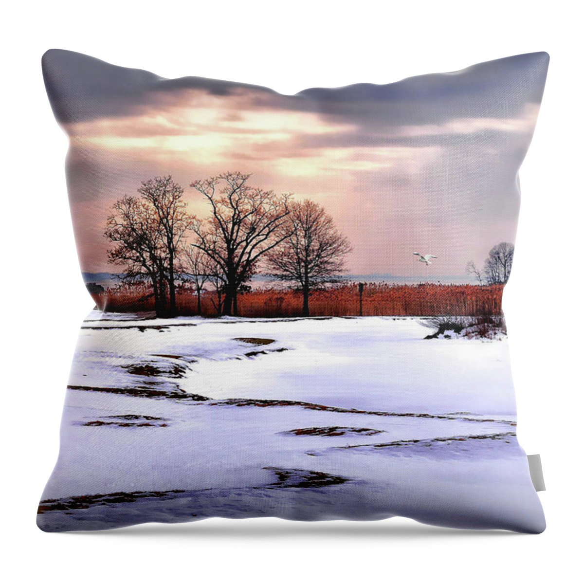 Nature Throw Pillow featuring the photograph Par for Winter's Course by Diana Angstadt