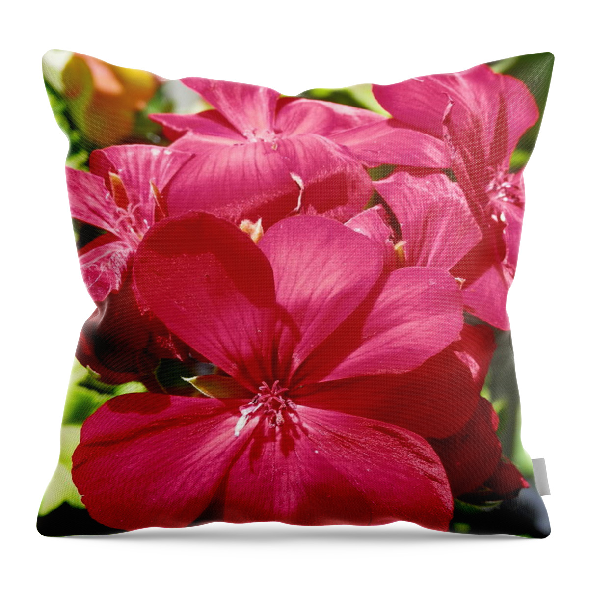 Geranium Throw Pillow featuring the photograph Paradise Bloom by Deborah Kunesh