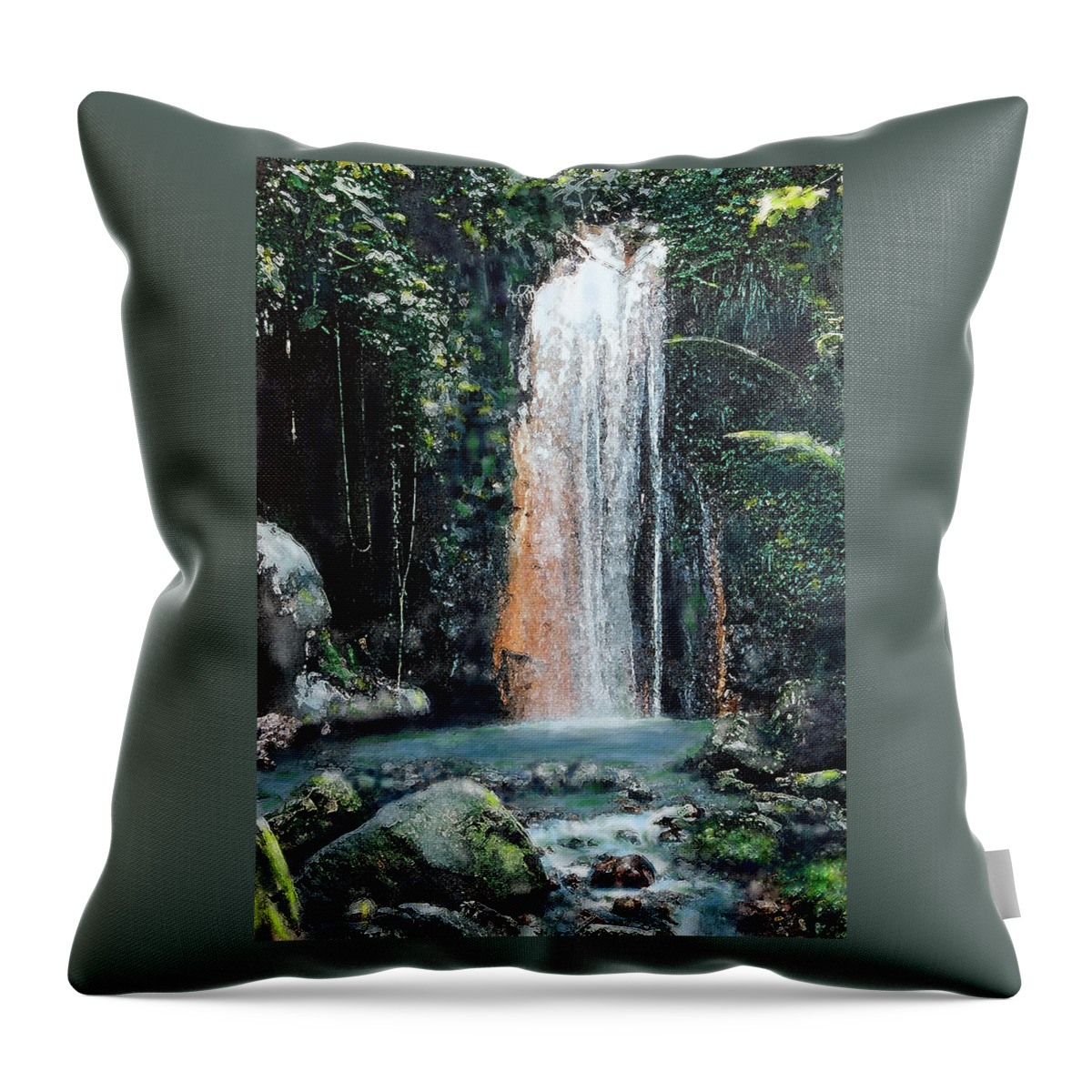 Water Throw Pillow featuring the digital art Paradise Found by Ian MacDonald