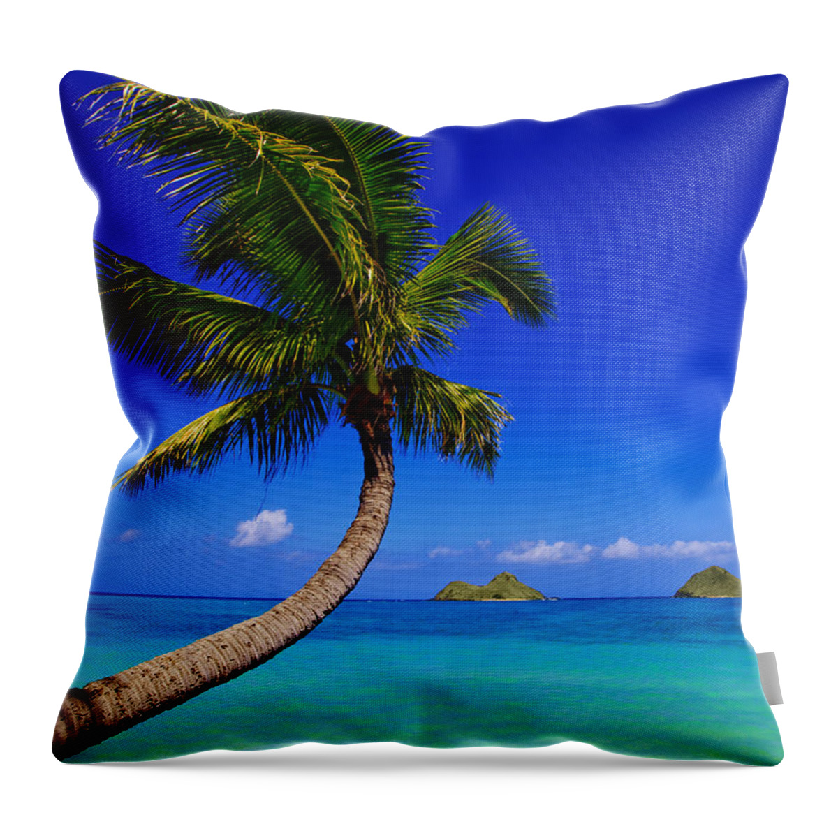Afternoon Throw Pillow featuring the photograph Paradise Palm over Lanikai by Tomas del Amo - Printscapes