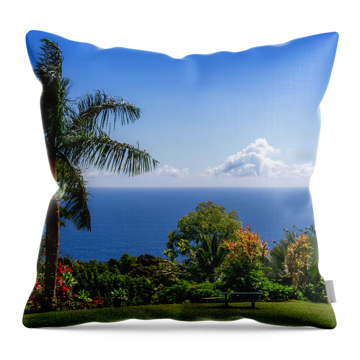 Hawaii Throw Pillow featuring the photograph Paradise Picnic by Daniel Murphy