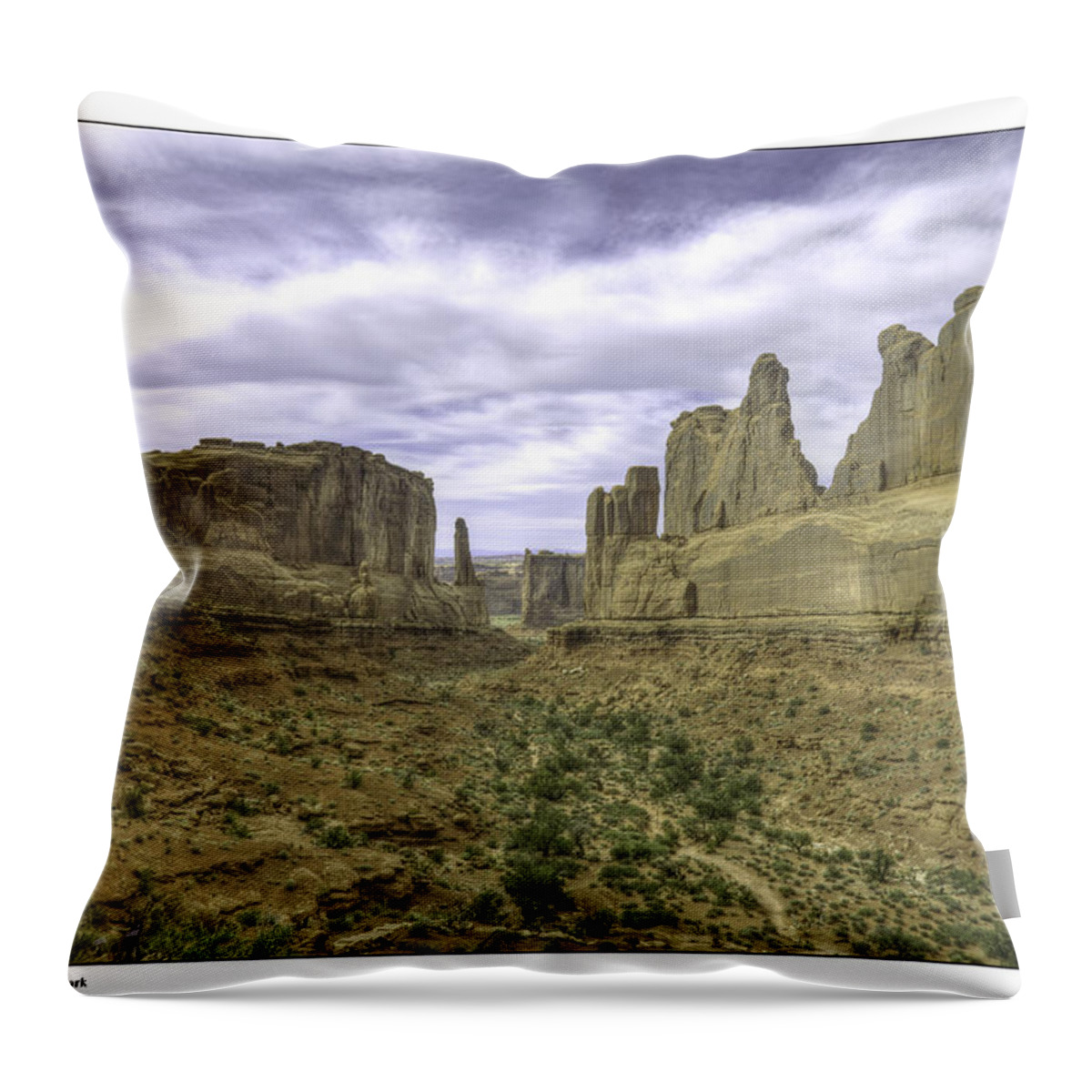 Arches National Park Throw Pillow featuring the photograph Park Avenue by R Thomas Berner