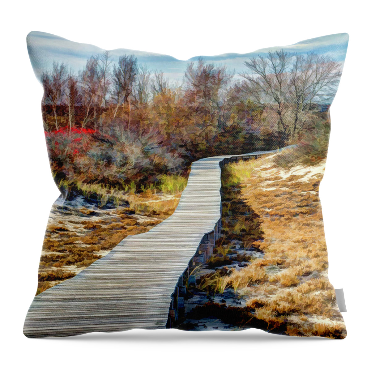 New England Throw Pillow featuring the photograph Parker River NWR Boardwalk by David Thompsen