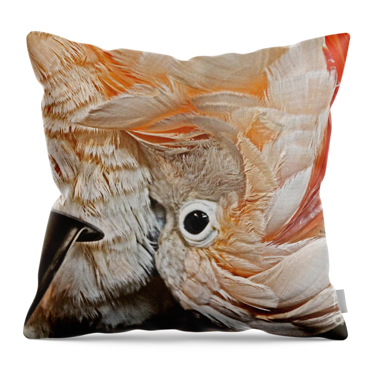 Bird Throw Pillow featuring the photograph Parrot by David Frederick