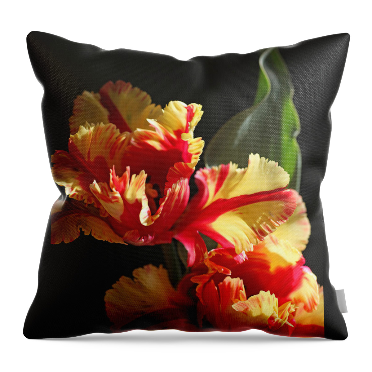 Tulip Throw Pillow featuring the photograph Parrot Tulip by Tammy Pool