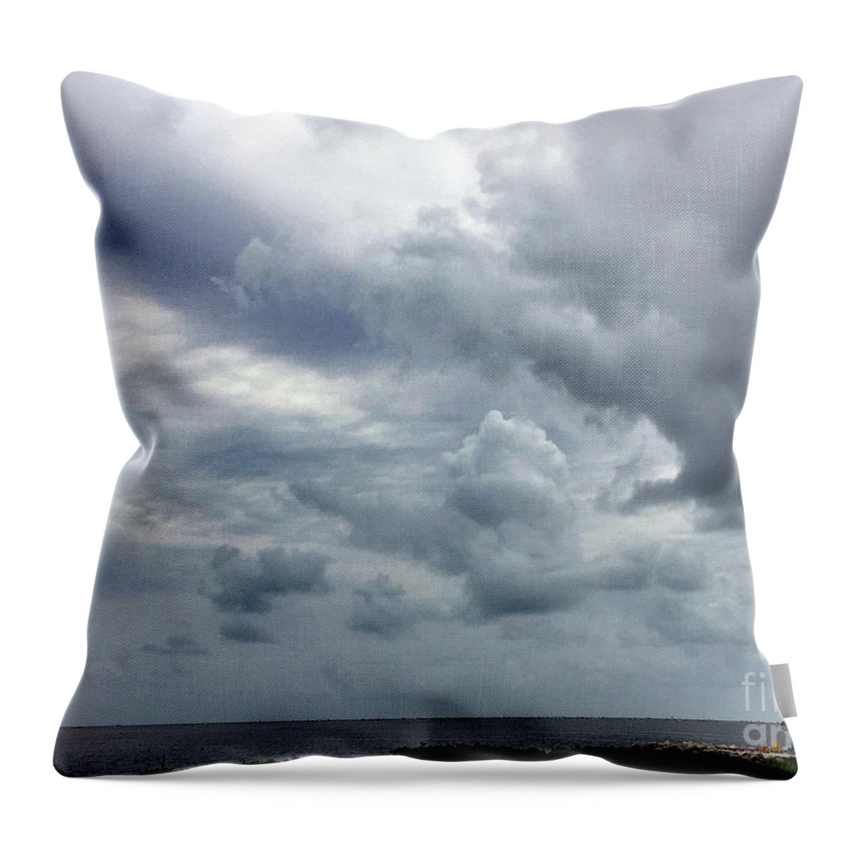 Scenic Tours Throw Pillow featuring the photograph Party At The Sand Bar by Skip Willits