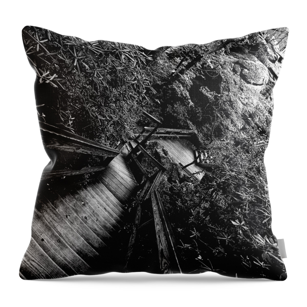 Walkway Throw Pillow featuring the photograph Passage Way by Kevin Cable