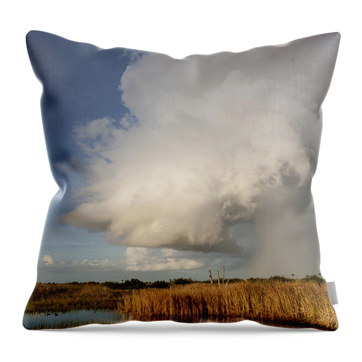 Cloud Throw Pillow featuring the photograph Passing late afternoon rain shower by David Watkins