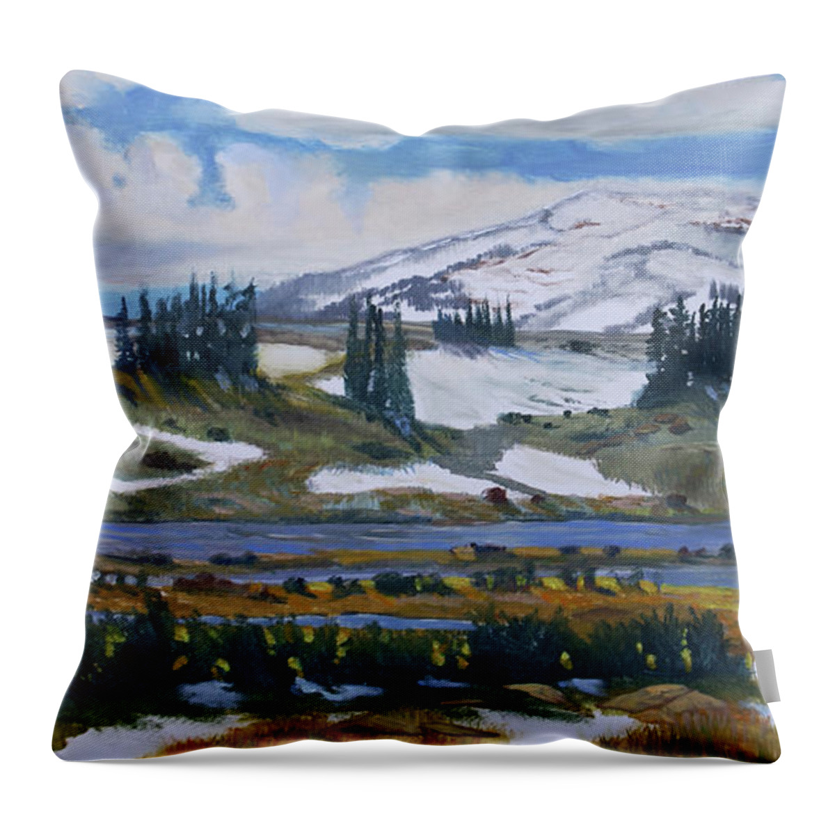  Throw Pillow featuring the painting Passing Light by Heather Coen