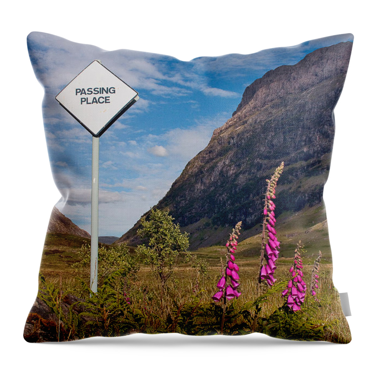 Scotland Throw Pillow featuring the photograph Passing Place by Colette Panaioti