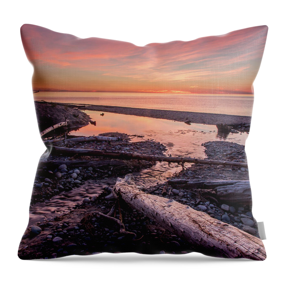 Water Throw Pillow featuring the photograph Passing Time by Lee and Michael Beek