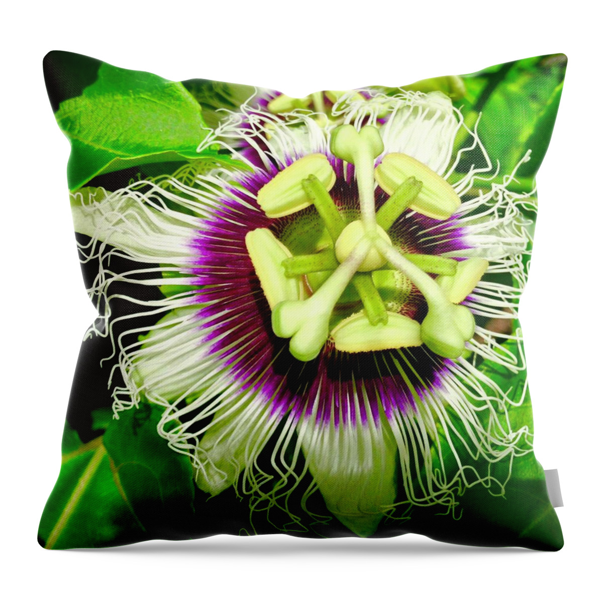 Flowers Of Aloha Passion Flower 1 Hawaii Throw Pillow featuring the photograph Passion Flower 1 by Joalene Young