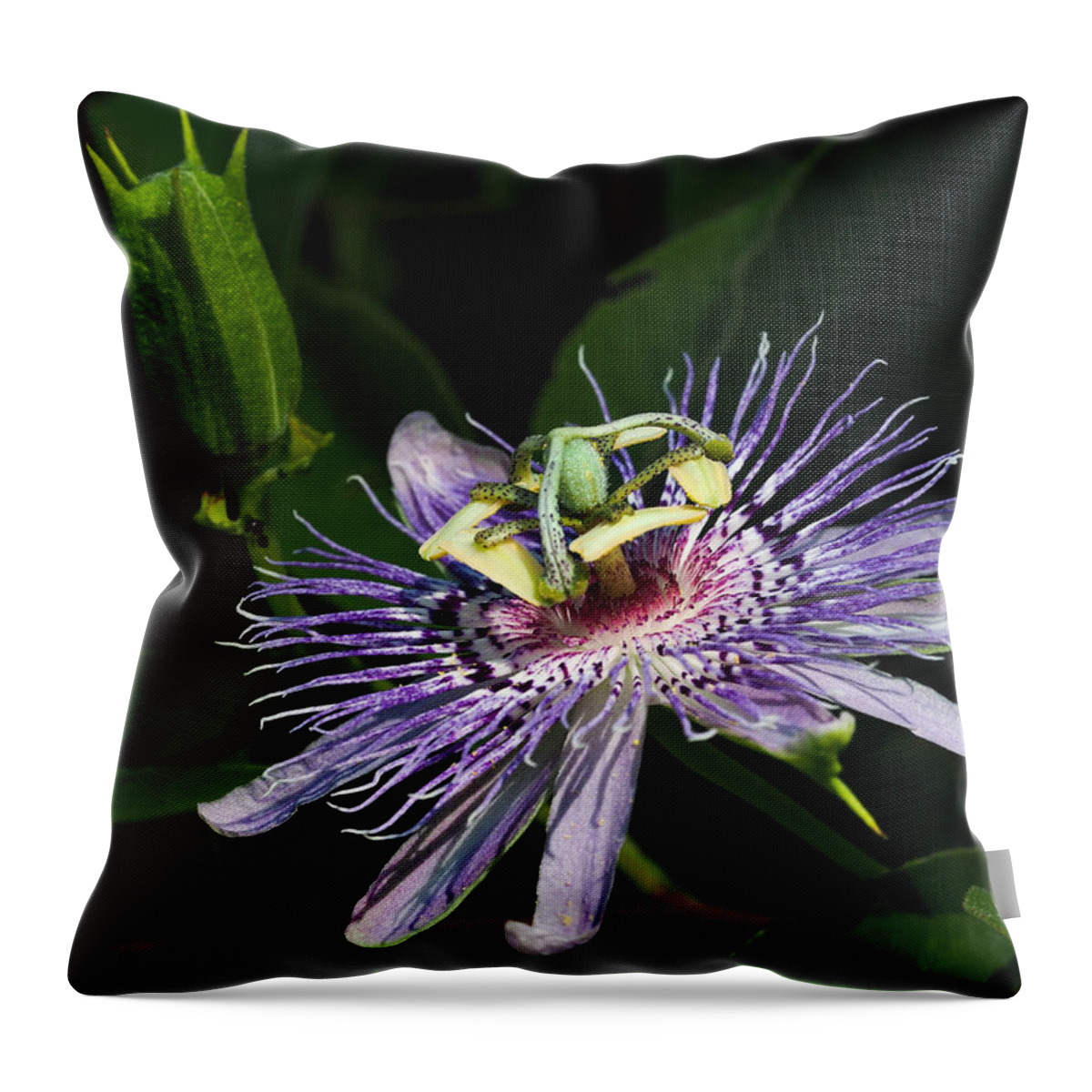 Passion Flower Throw Pillow featuring the photograph Passion Flower by Paula Ponath