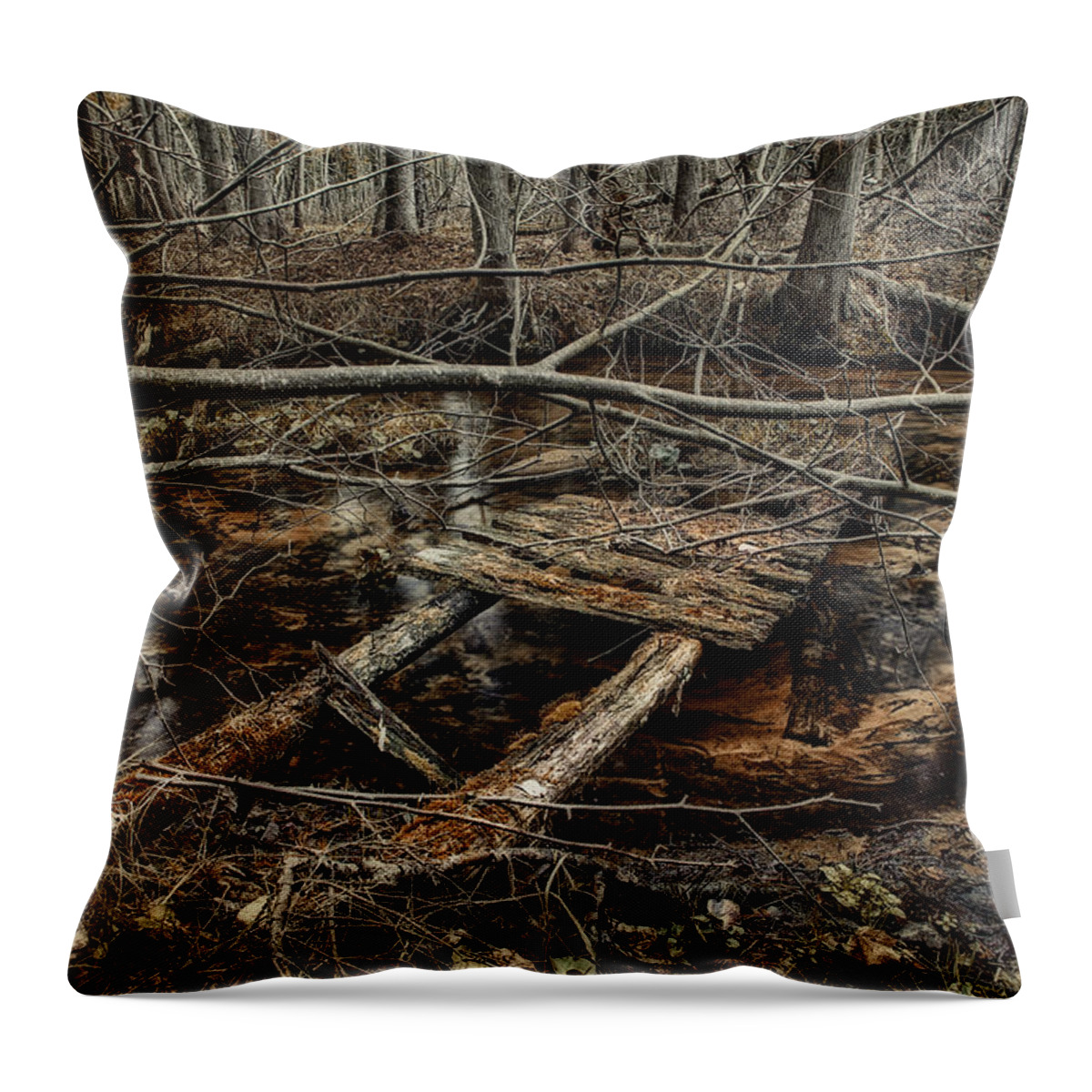 Rapid River Throw Pillow featuring the photograph Past Boardwalk by Gary O'Boyle