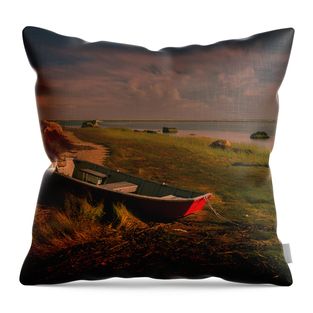 Past Throw Pillow featuring the photograph Past by Darius Aniunas