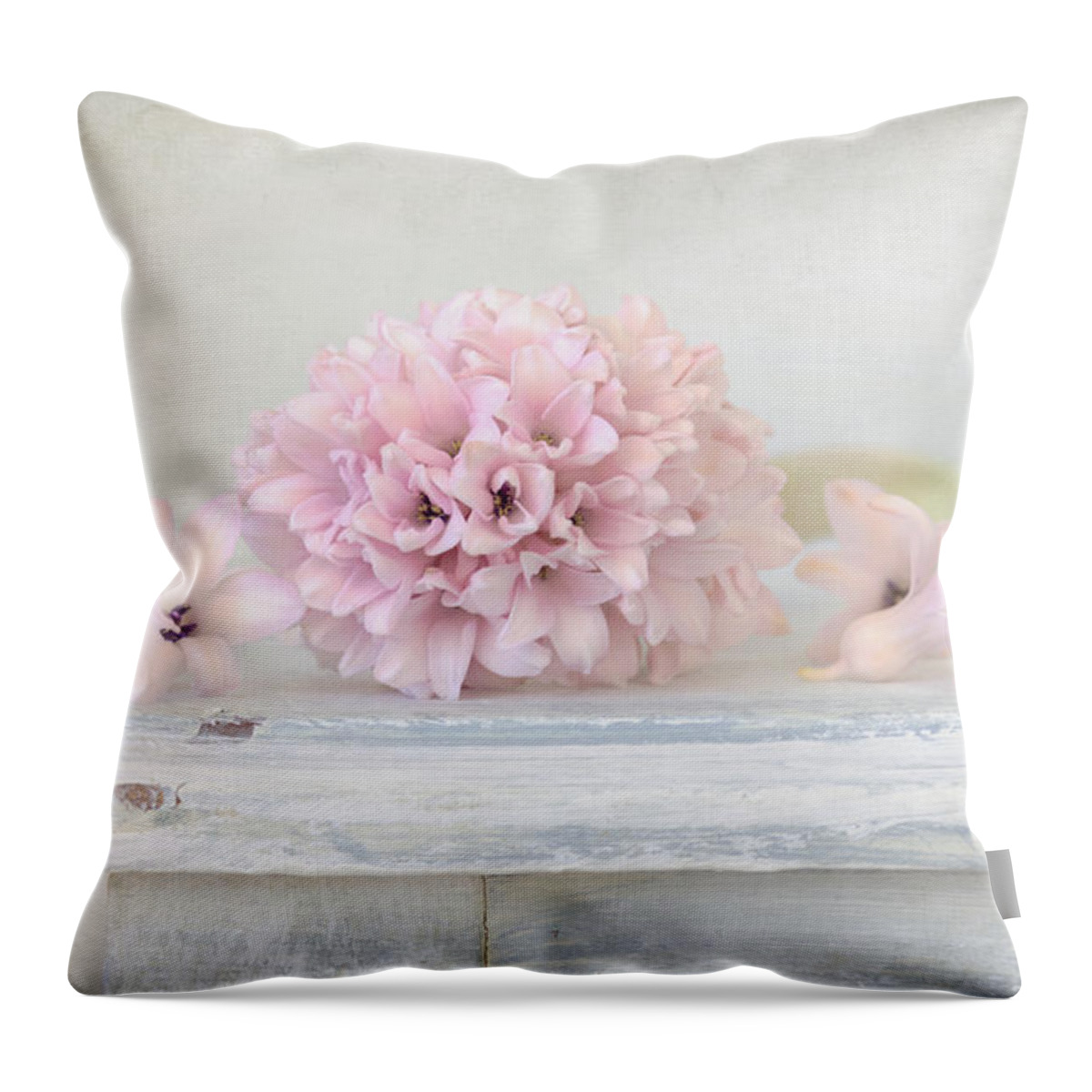 Hyacinth Throw Pillow featuring the photograph Pastel Pink Hyacinth by Kim Hojnacki