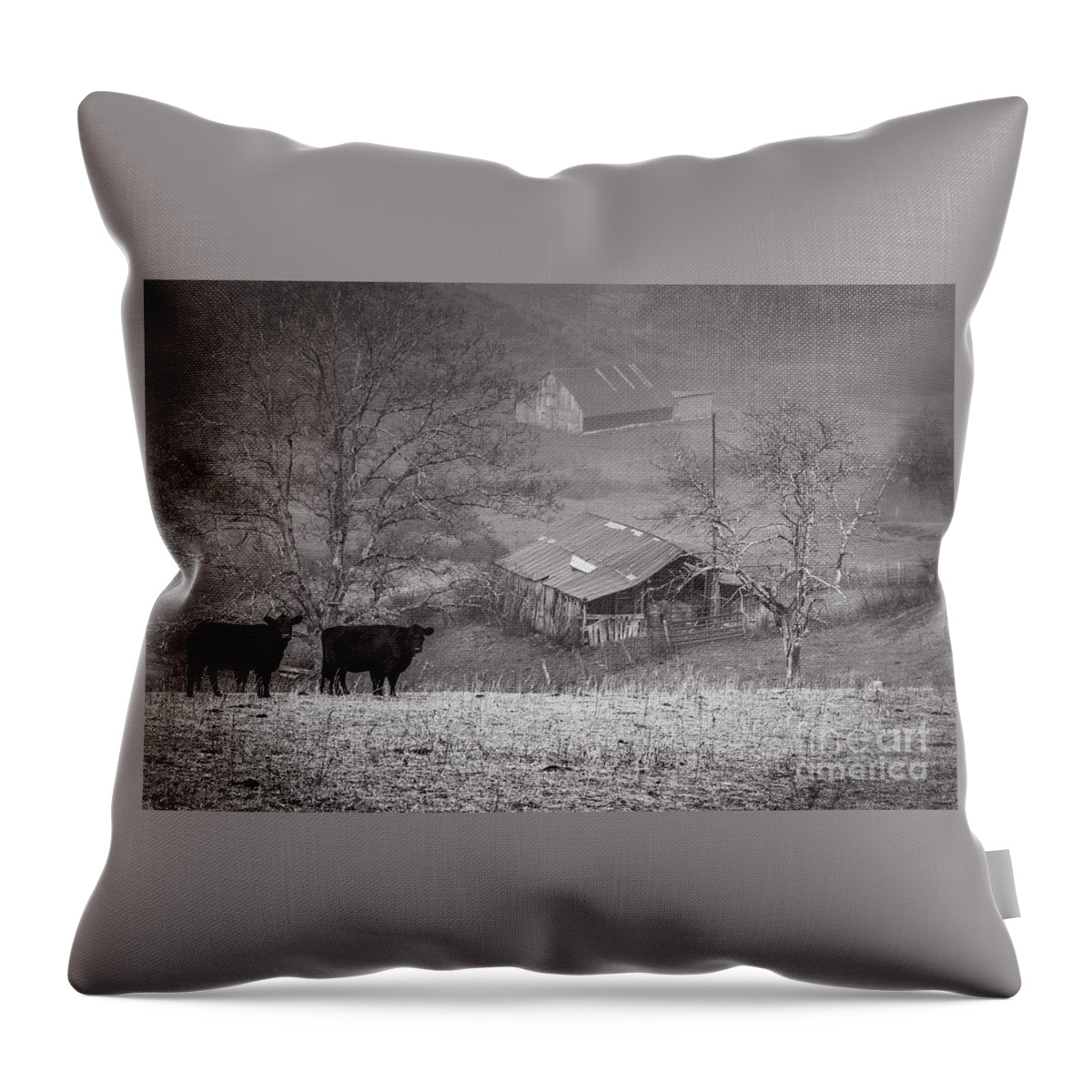 Pasture Field Throw Pillow featuring the photograph Pasture Field and Barns by Thomas R Fletcher